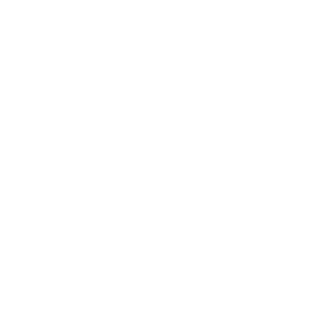 The Tahoe Experience